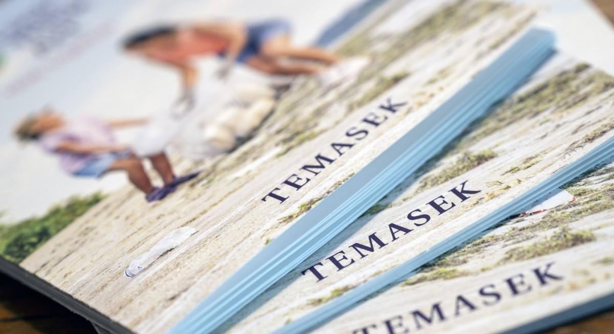 Temasek establishes 65 Equity Partners with $4.5 bil to fund growth companies