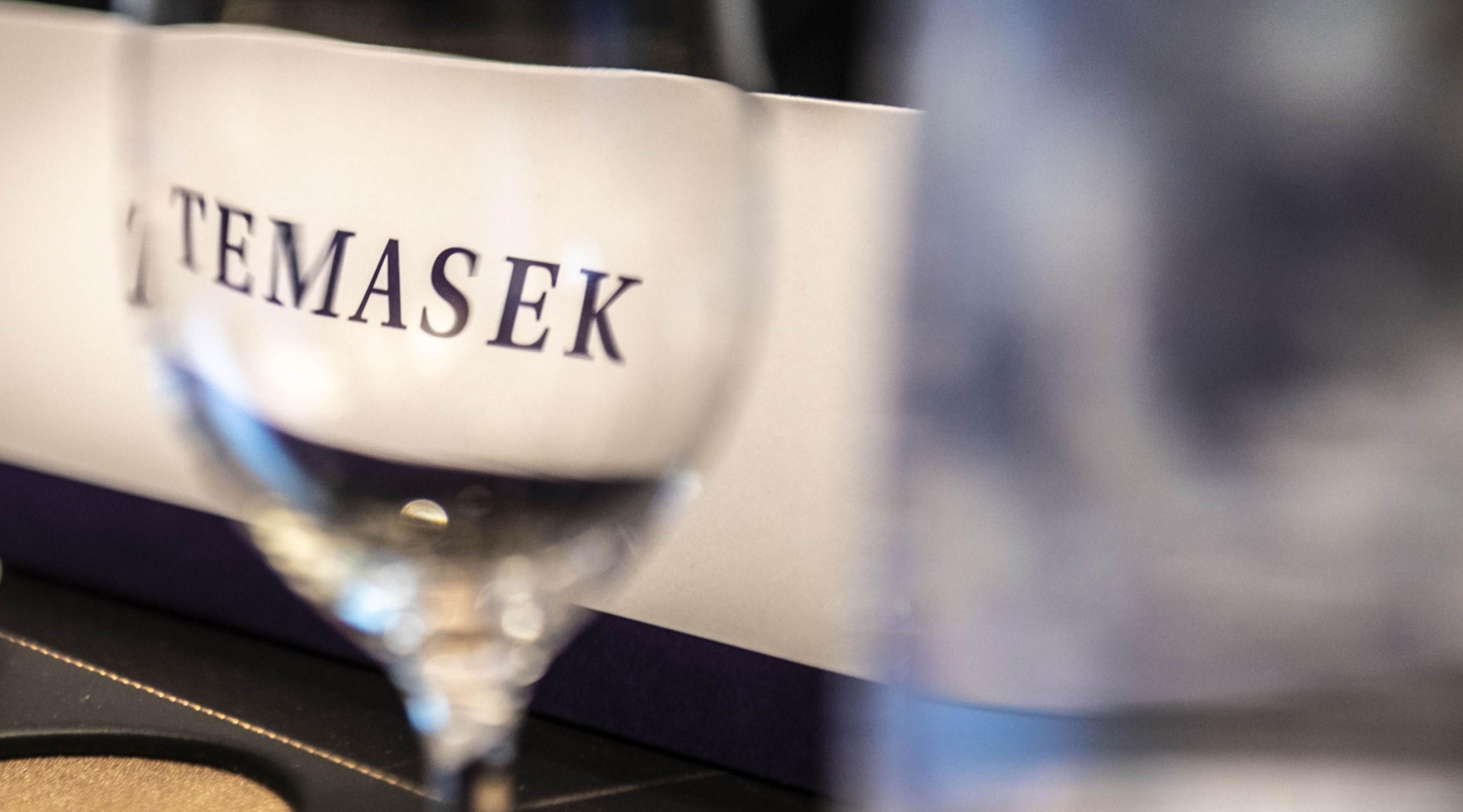 Temasek seeks partnership to deploy US$5 bil a year