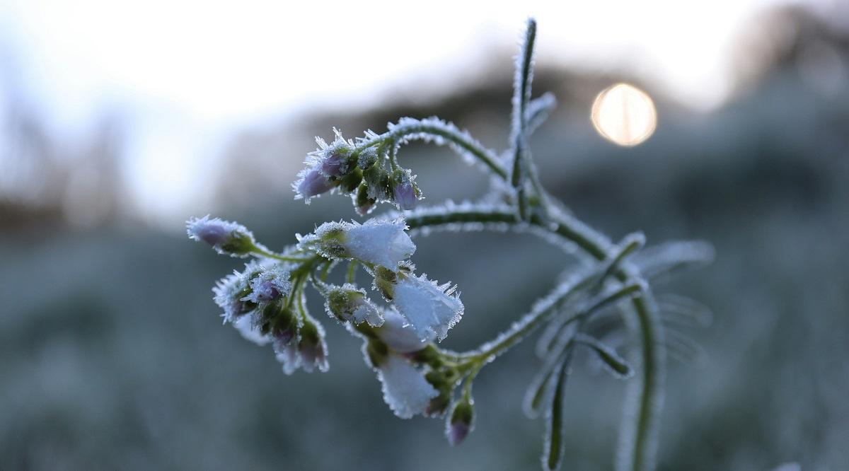 De-frosting gradually as we head towards spring